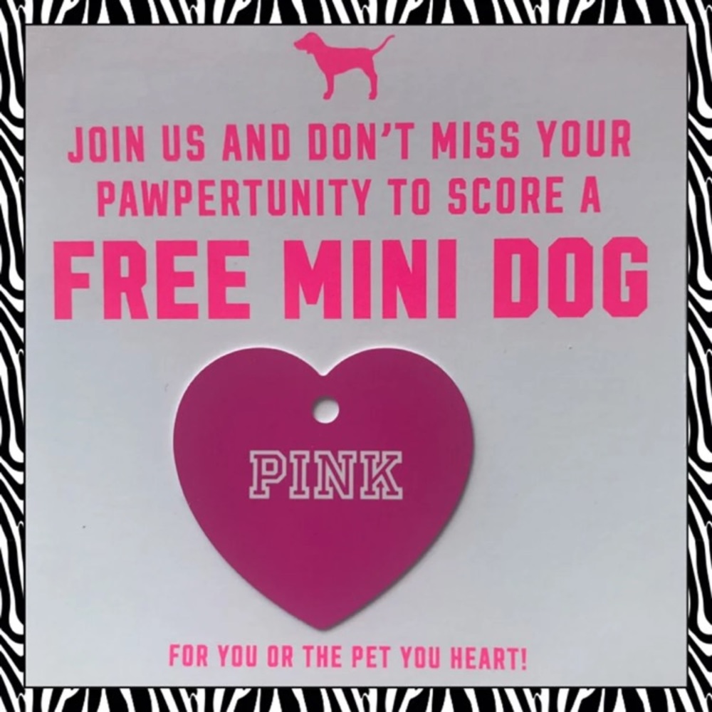 VS PINK dog tag